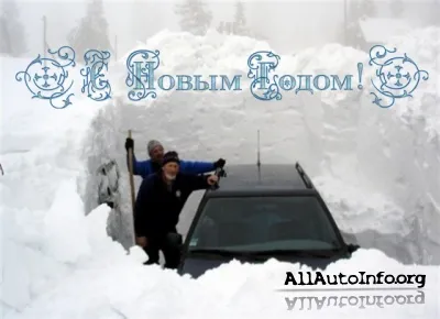 С новым 2011 годом