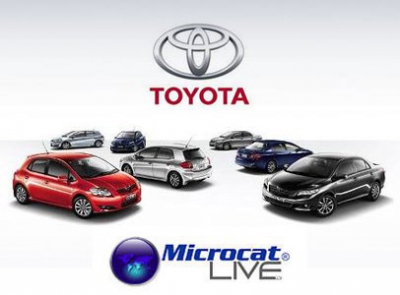 Toyota Microcat Live 05/2015