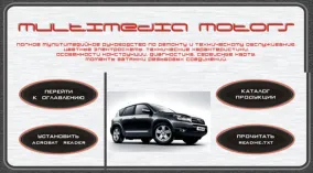 Toyota RAV4 (ACA30, ACA33, ACA38, ALA30) 2008