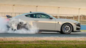 Ford Mustang Dark Horse T8-Spec получил трековые доработки Triple Eight и цену AU$138 888