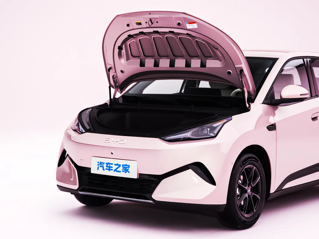 Новый BYD Seagull